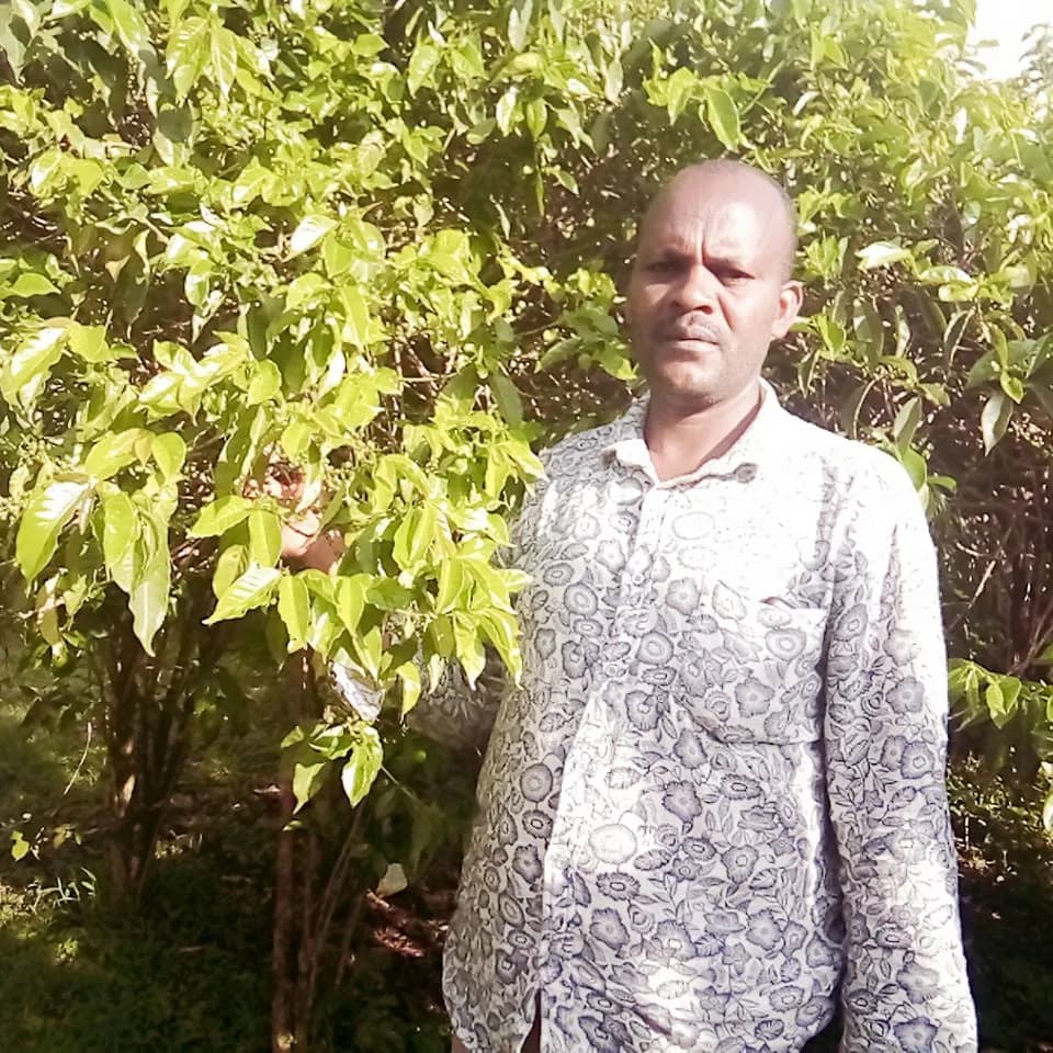 Bekele Yutute